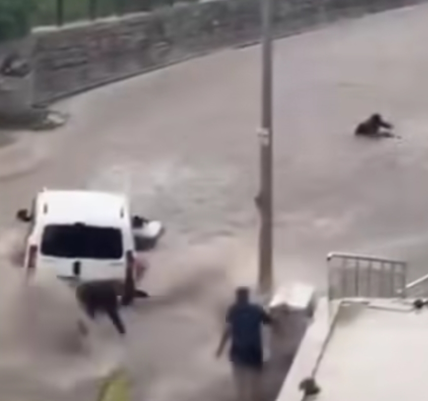 Ankara’da Sel Sularında Can Pazarı: Yardıma Koşanlar da Akıntıya Kapıldı.