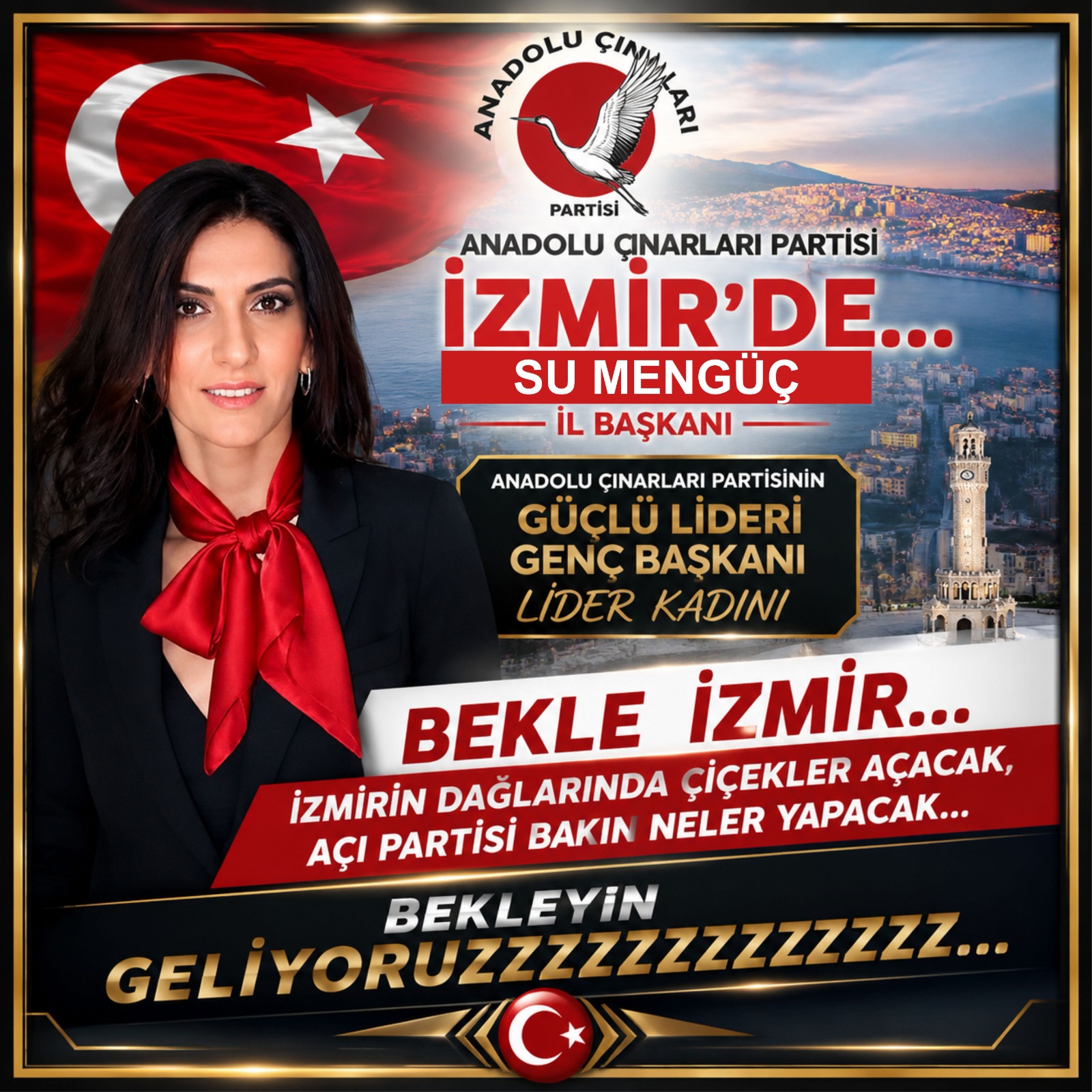 Suna Mengüç, Anadolu Çınarları Partisi İzmir İl Başkanı oldu